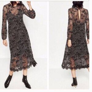 Zara Lace Midi Dress